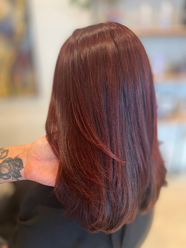 Color + Haircut Specail ✨