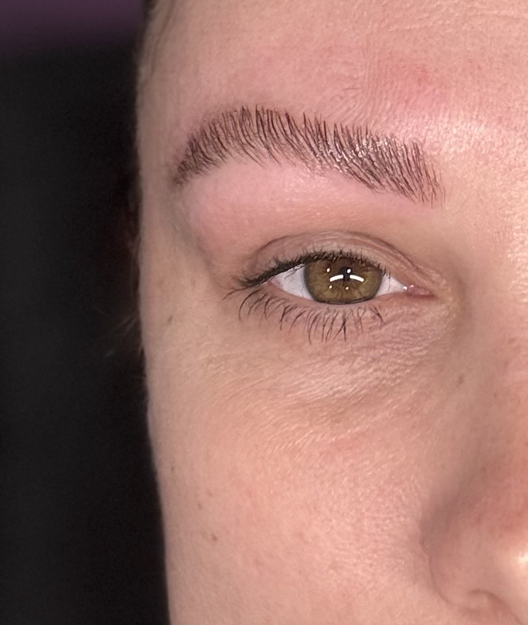 Brow Lamination, Tint & Wax