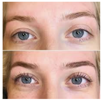 Brow Or Lash Tint