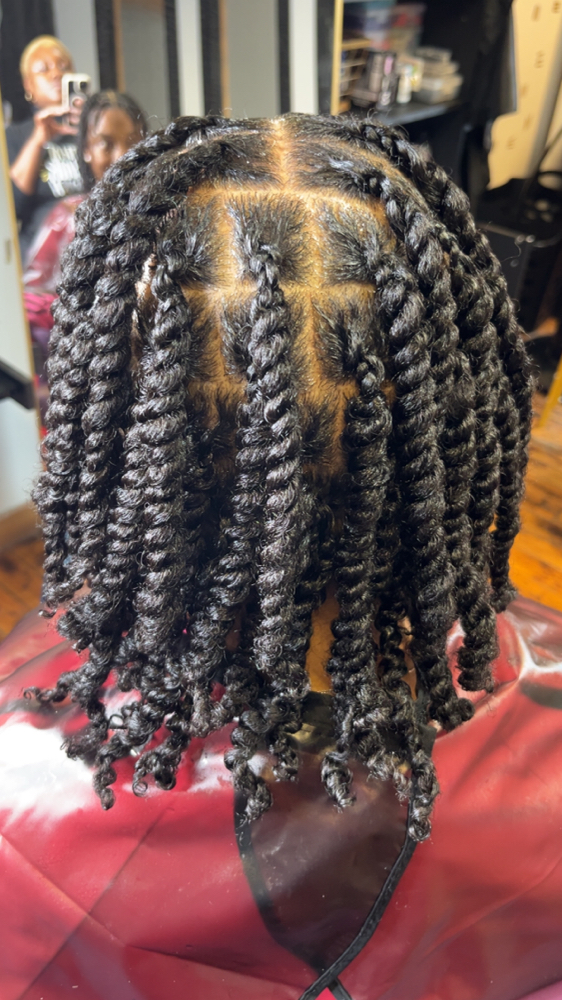 Natural Hair Two Strand Twist