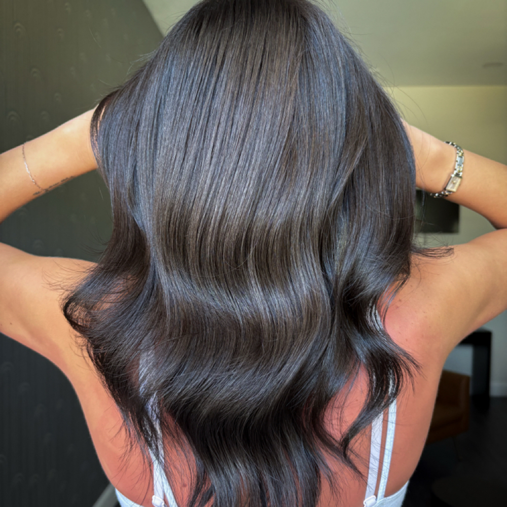 Toner Refresh at Paint It Black Hair Studio in Riverview, FL