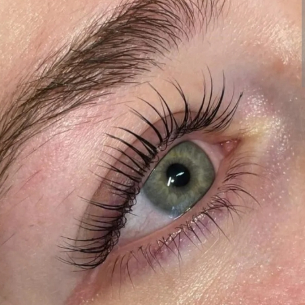 Lash Tint at Glow by Mitzi in Milford, CT