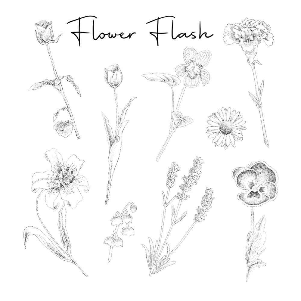 Large Flower Flash