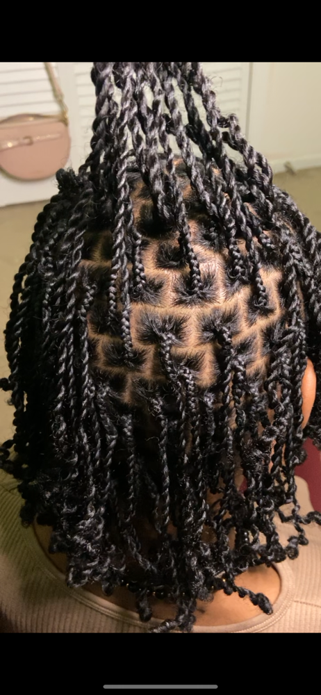Mini Twist