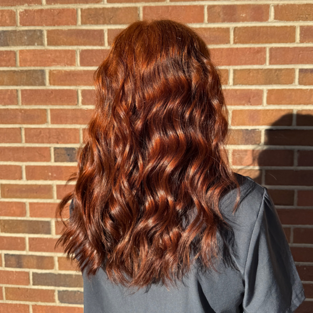 Full Lowlight at Limitless Salon & Spa in Edinburgh, IN