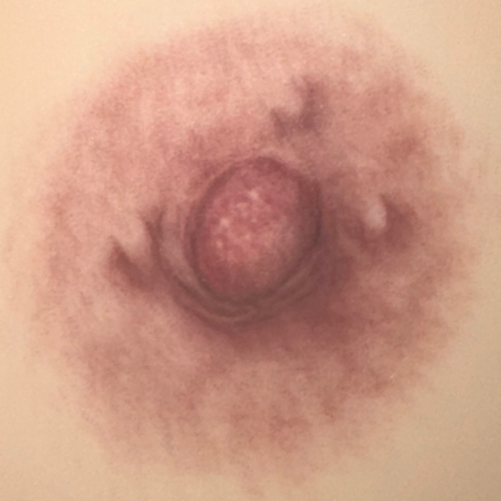 Hyper Realistic 3D Areola Tattoo at Ink Theory Aesthetics in New Braunfels, TX