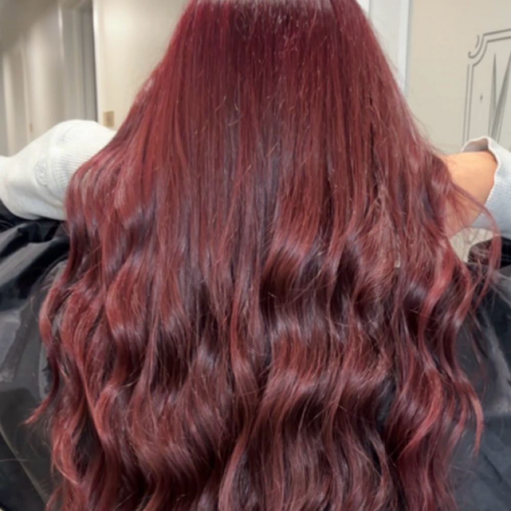 ROOT TOUCH-UP + STYLE at Scissor Hands Studio in Clayton, NJ