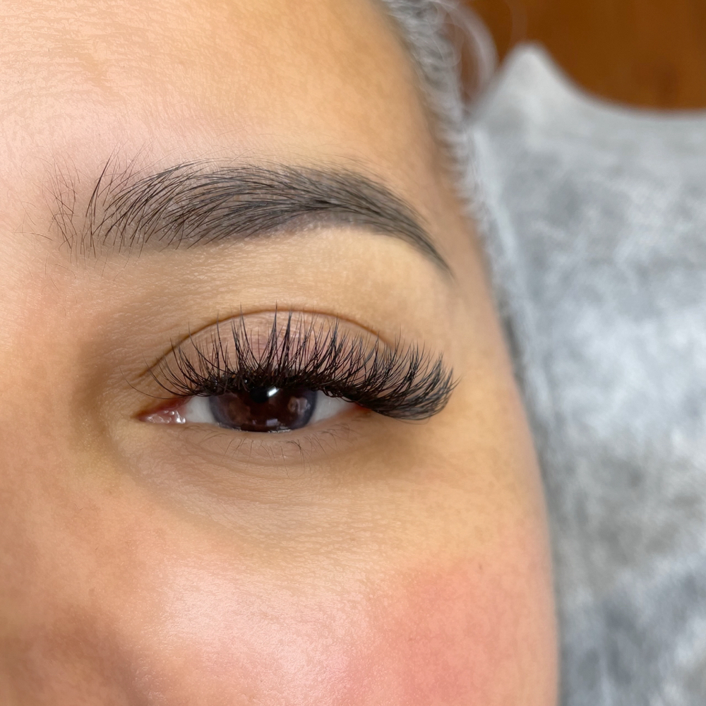 Y LASH at LASHITUDE in Pasadena, CA