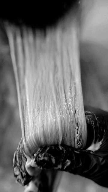 Gloss + Haircut