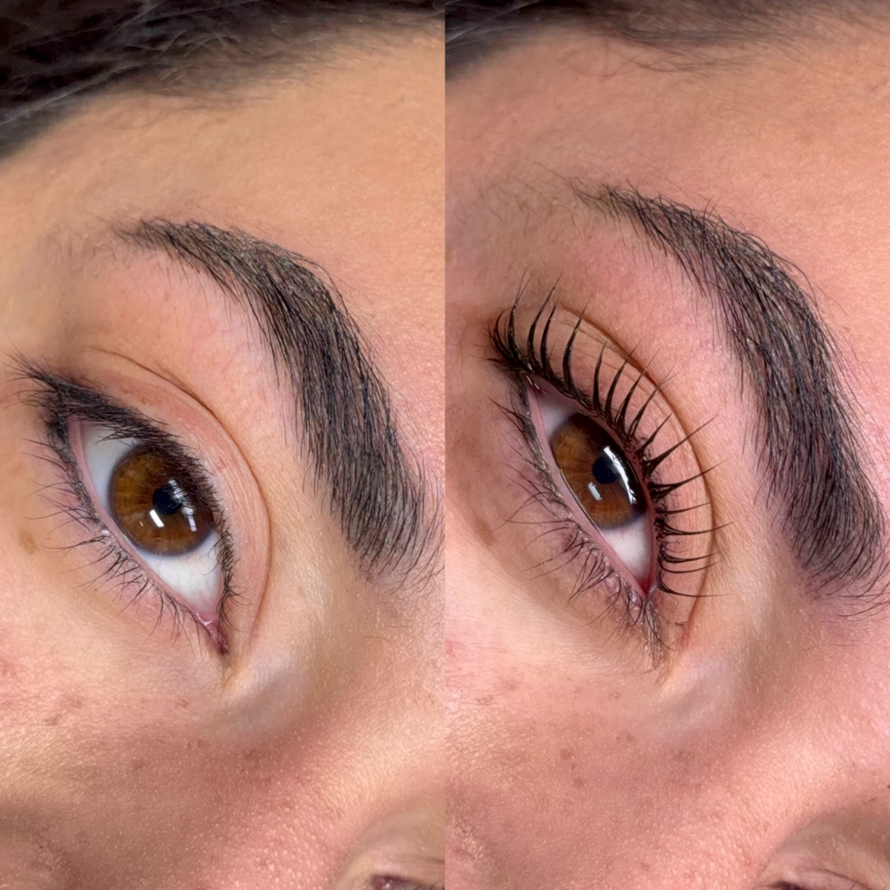 Korean Lash lift & Tint at Designer Lash Co in Colorado Springs, CO