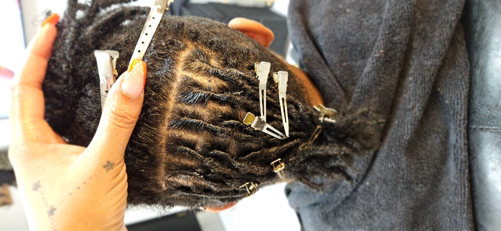 Starter Locs Half Head