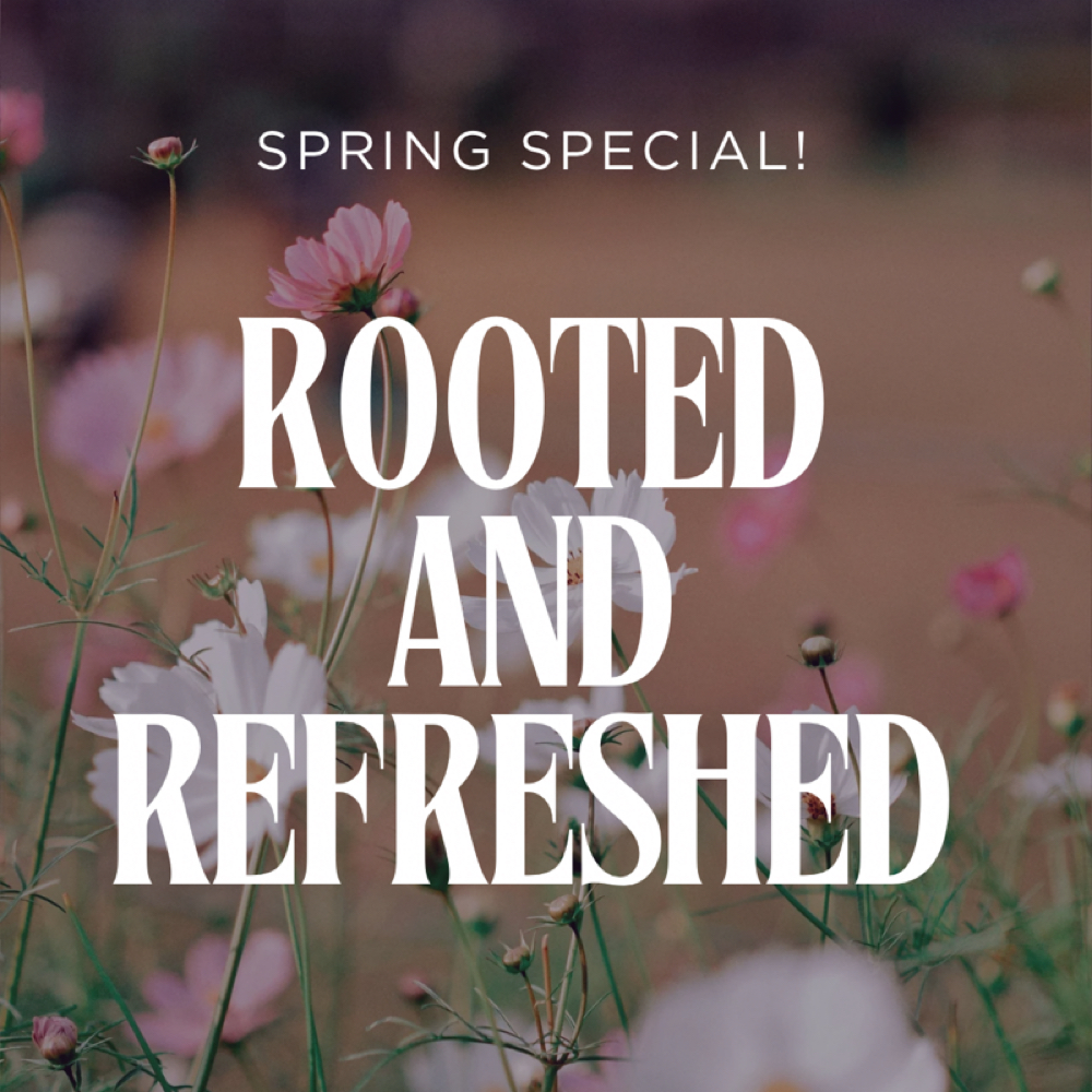 Rooted And Refreshed at Aura Hair Studio in Enfield, CT