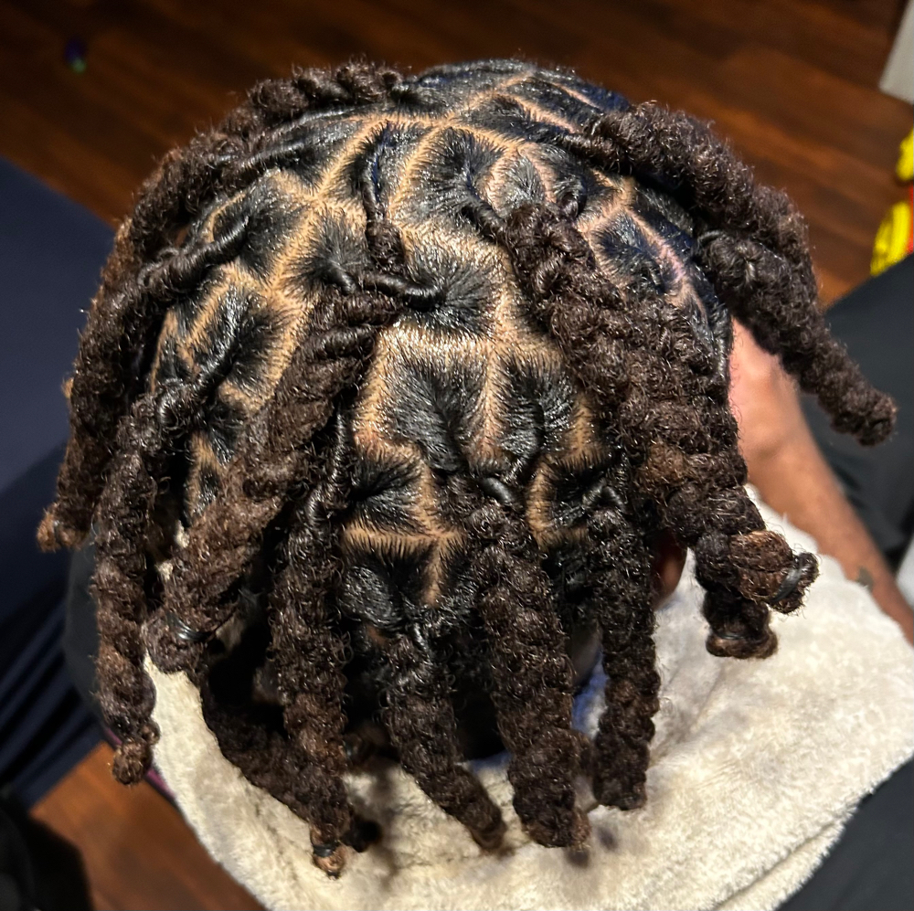 3 Strand Retwist(Plaits) at Eryka’s Hair Couture in Midlothian, IL