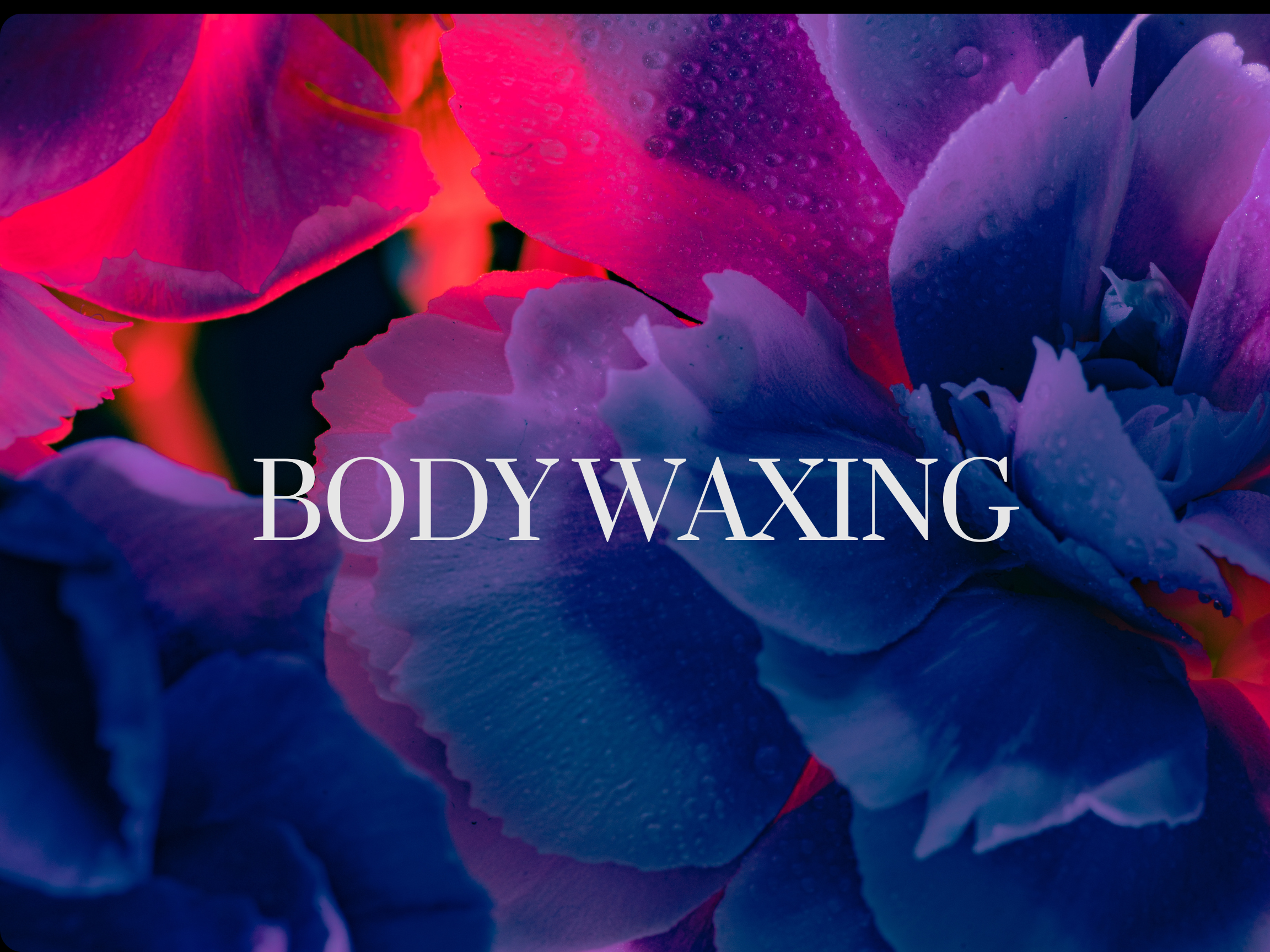 Body Waxing (Body)