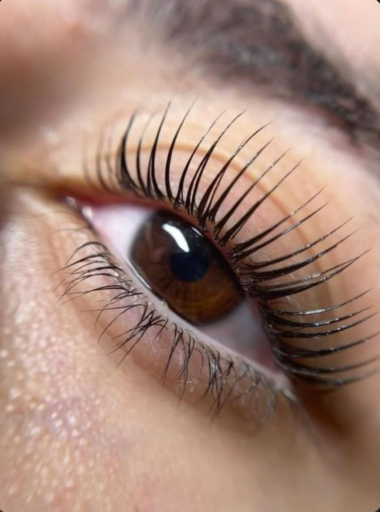 Lash Lift