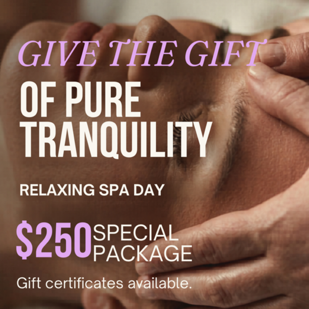 Relaxing Spa Experience at Atmosphere Skin Sanctuary Skin Wellness Center Fanwood in Fanwood, NJ