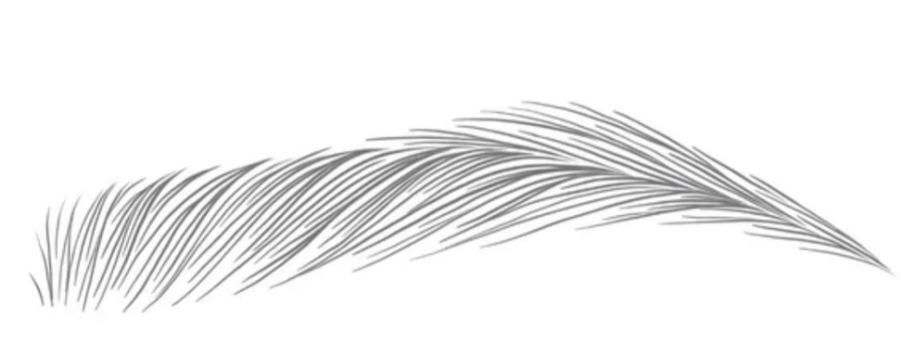 Nano Brow