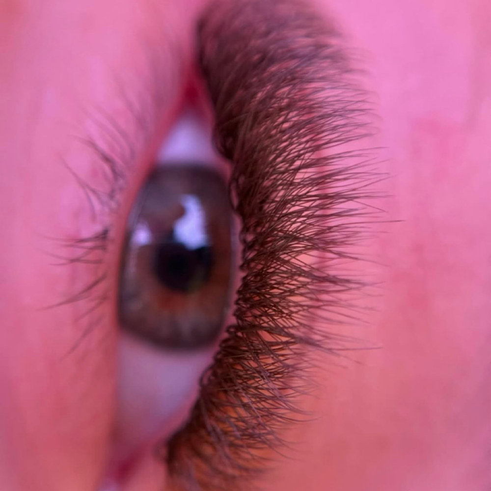 Brown (Trending) - Full Set at Amethyst Lash Studio in Lake Worth, FL