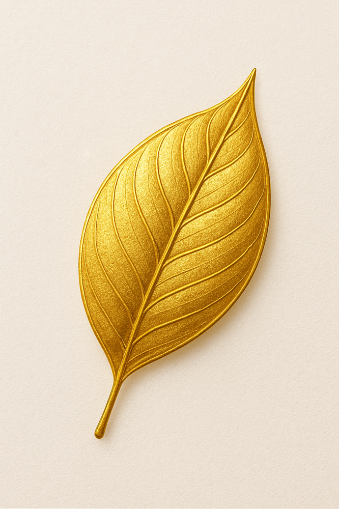 Vajacial & Brazilian Package at Golden Glow Wax Studio in White Plains, NY