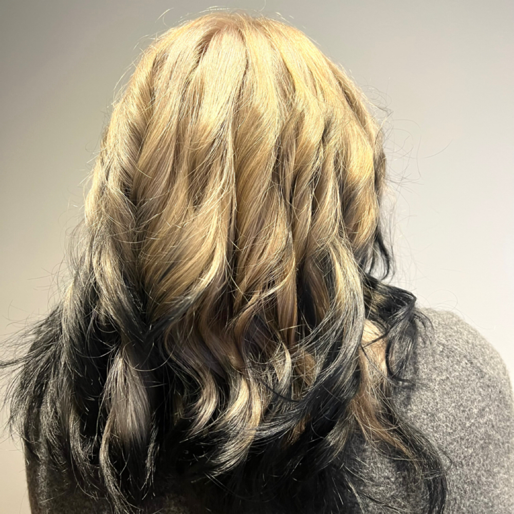 Bleach Root Touch-Up at Starling Hair Studio in Schaumburg, IL