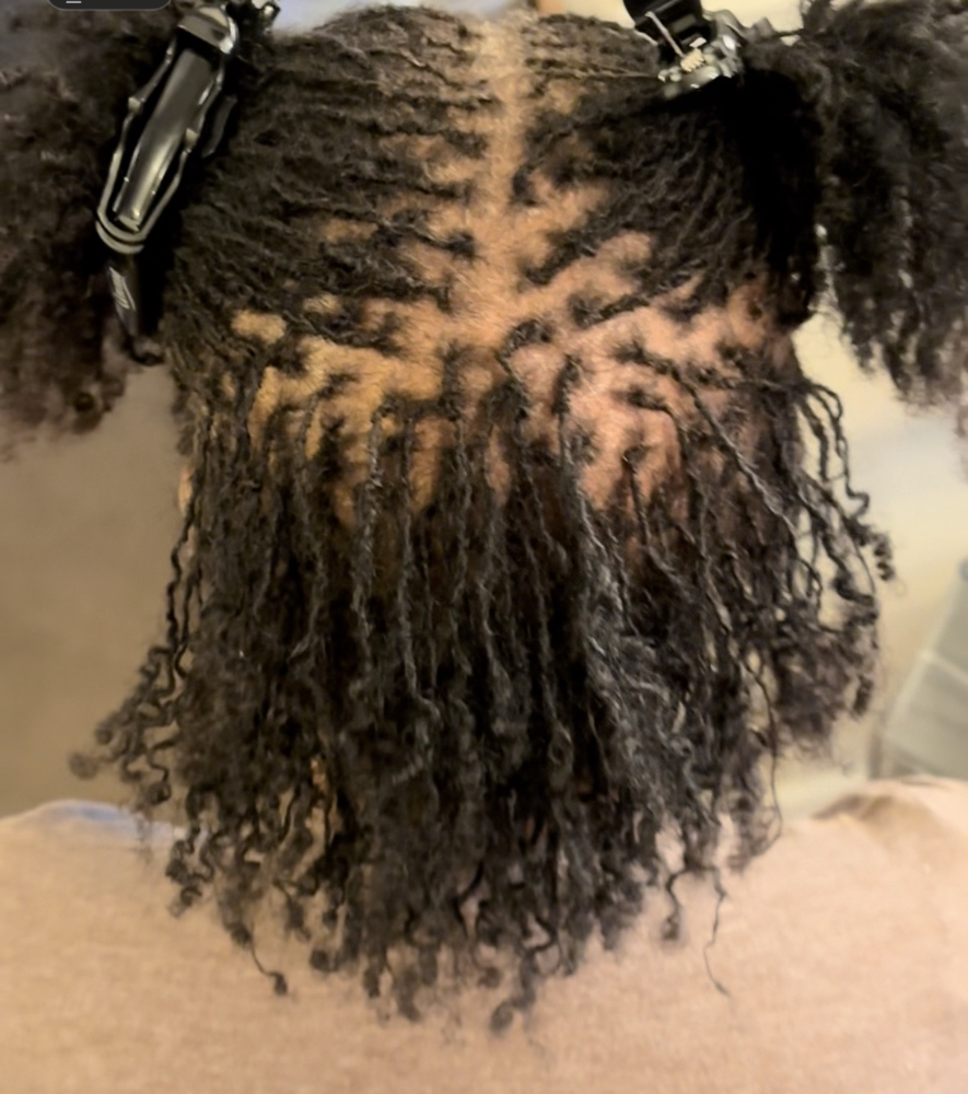 7-8 Week Retie at Sister Crown Culture in Indianapolis, IN