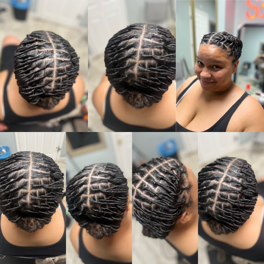 Starter Locs (comb Method)