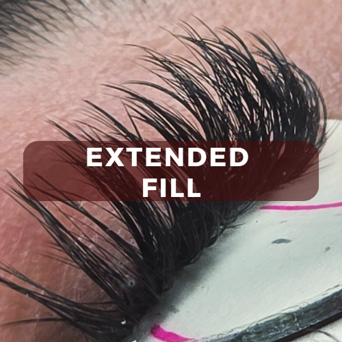 Extended Fill- Busy Babe