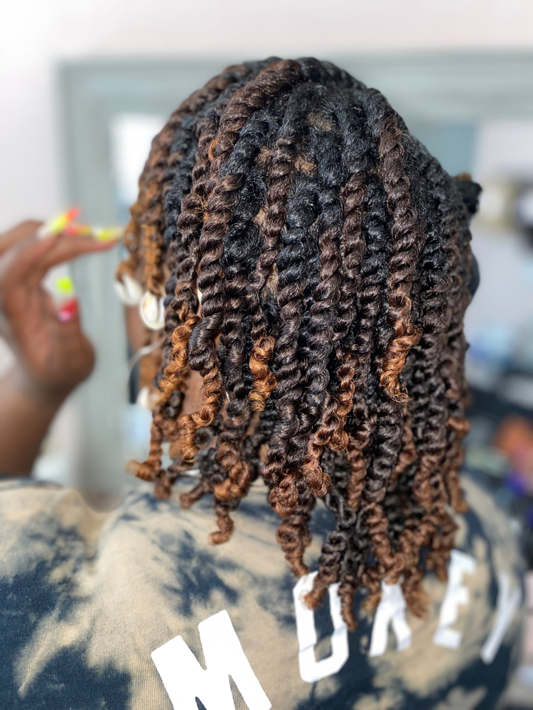 2 Strand Twist Style