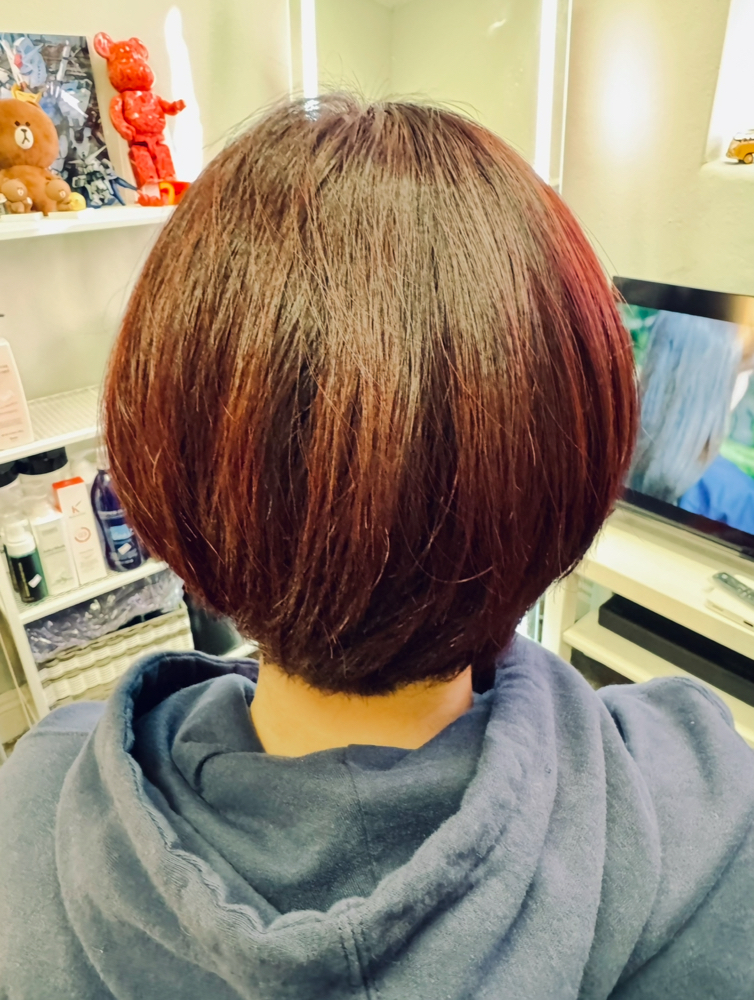 Girl's Haircut ( under 18 Age )