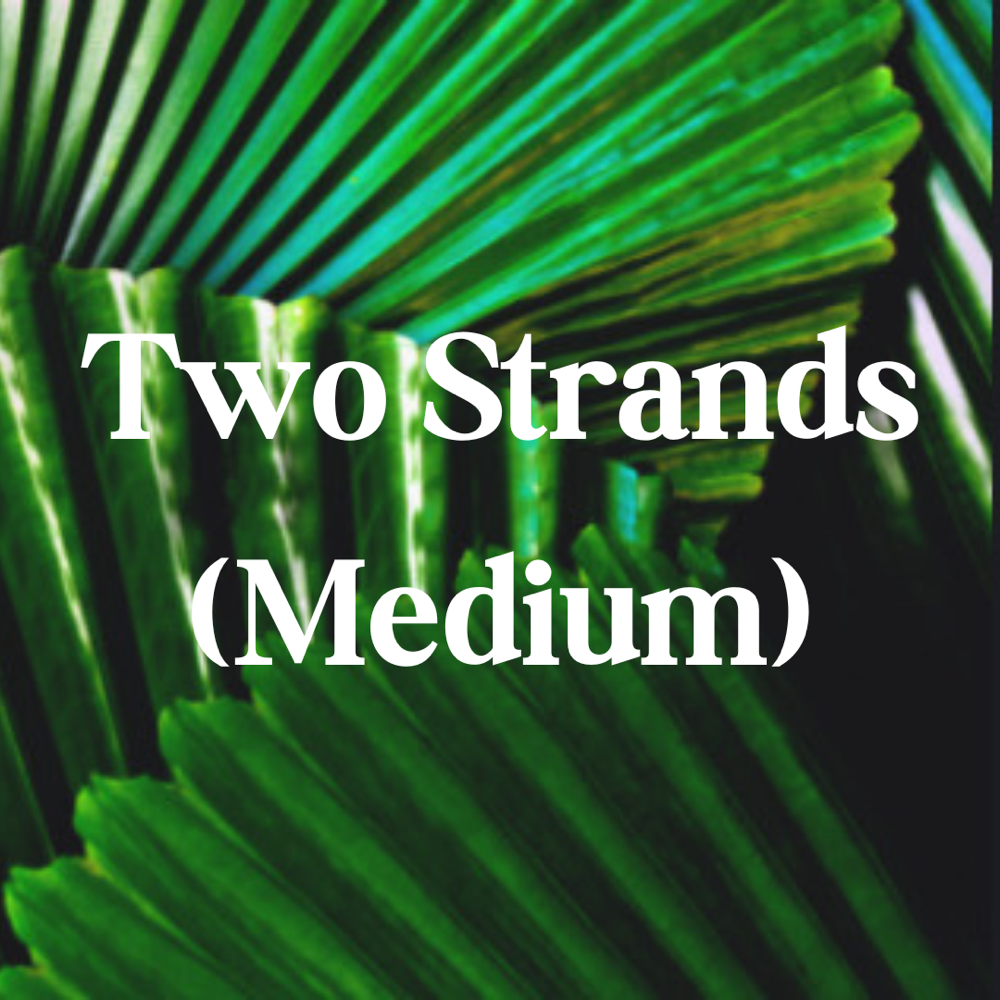 Two Strands - Medium Locs