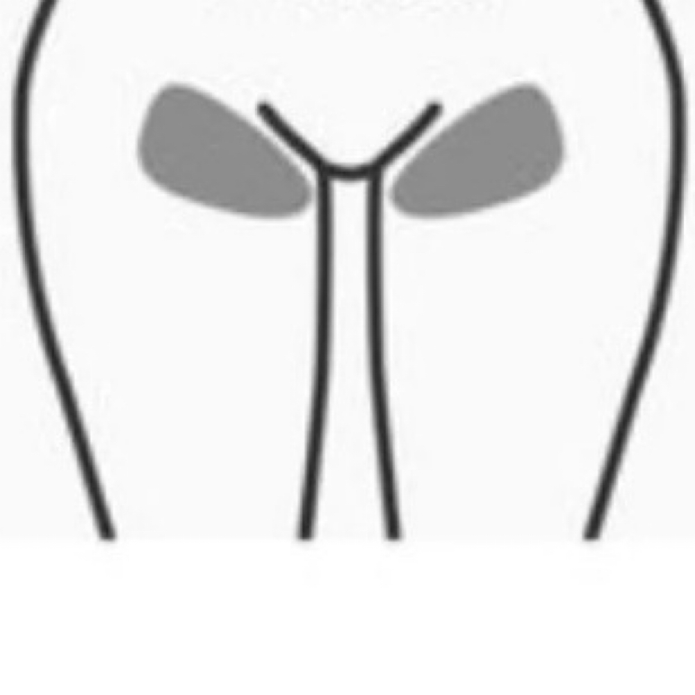 Women’s Bikini Line at Any body and everybody waxing studio LLC in Fairborn, OH