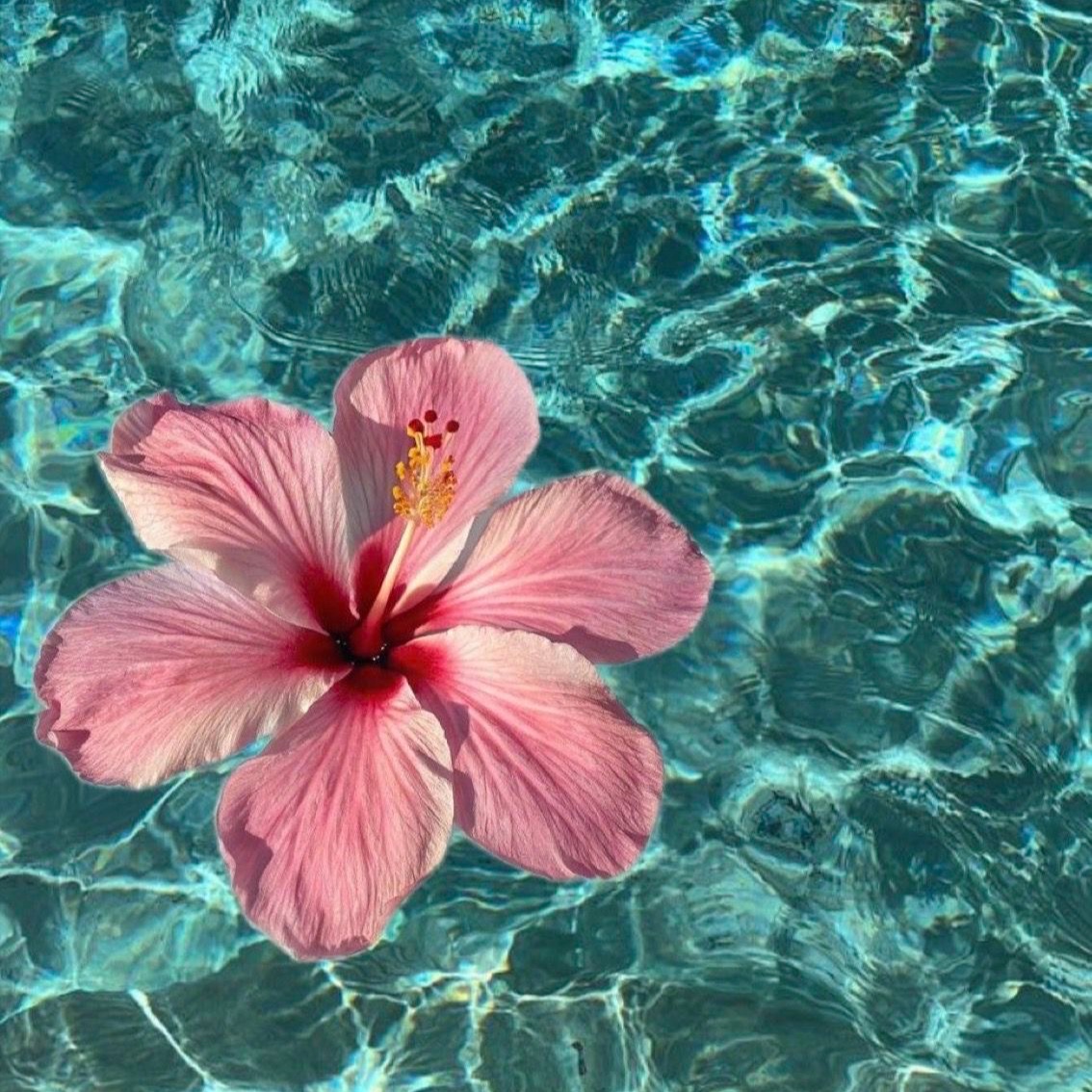 Summer Facial at Esthetics by KP in Des Peres, MO