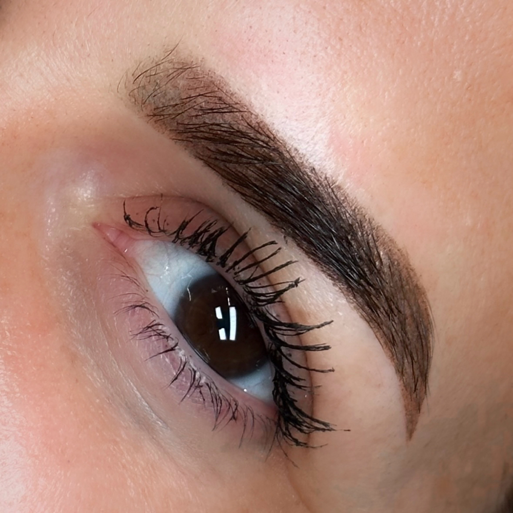 POWDER BROW [COLOR CORRECTION]