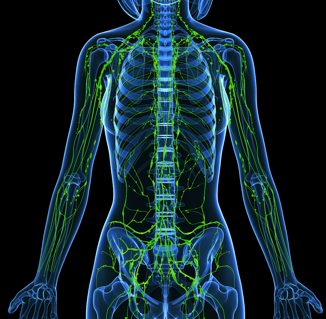 Complete Decongestive Therapy Exam
