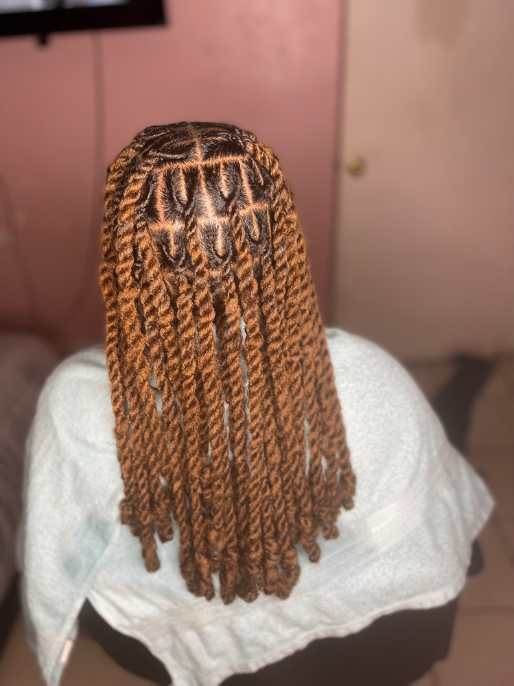 Imitation Locs (Short <16”)