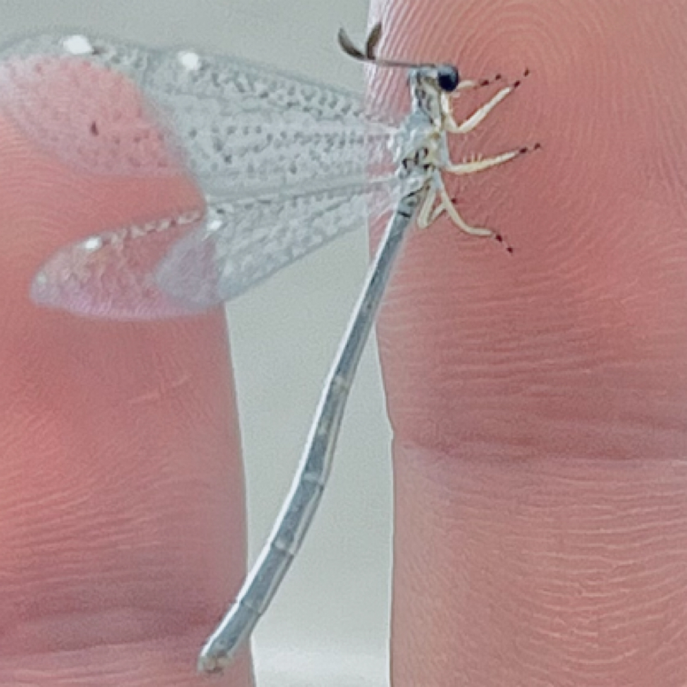 SAT/SUN  Available By Request at Mindful Mirror Salon in Bellingham, WA