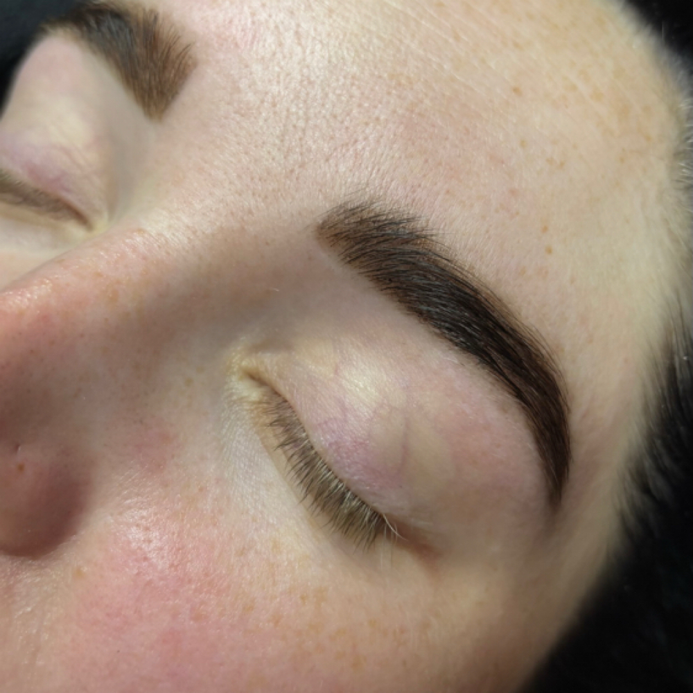 Power-stain Brow Tint + Brow Wax at Beauty By Randi in Farmington, MI