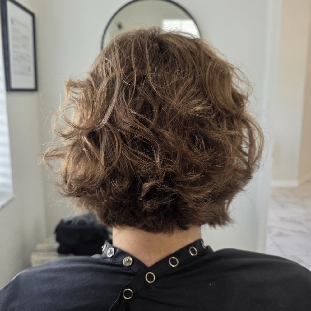 Short Haircut, No Blowout/ Style at Shear Divination in Wesley Chapel, FL