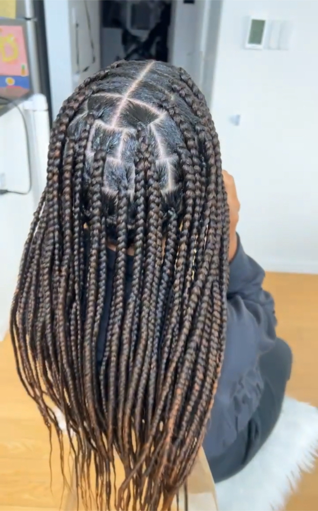 Knotless Medium Box Braids