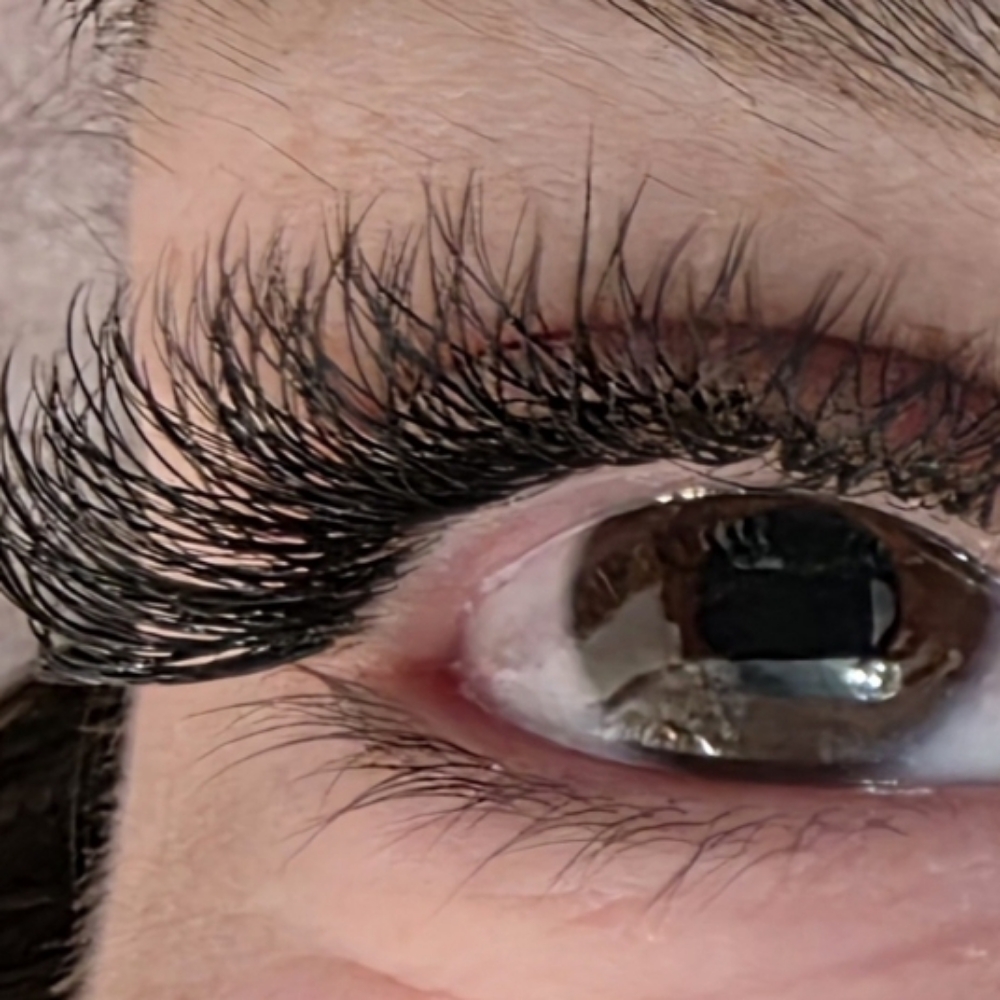 YY Lashes: Full Set at Clever Girl Lashes in Palm Bay, FL 32907, FL