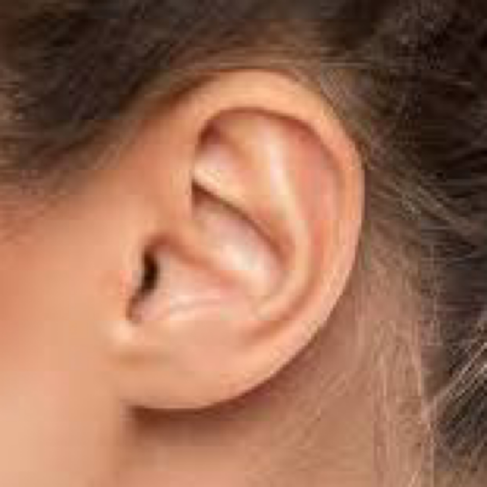 Ear Wax at The Soft Edit in Littleton, CO