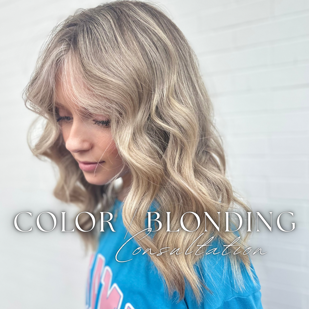 Color / Blonding Consultation at Emma HAIRris Beauty in Rome, GA
