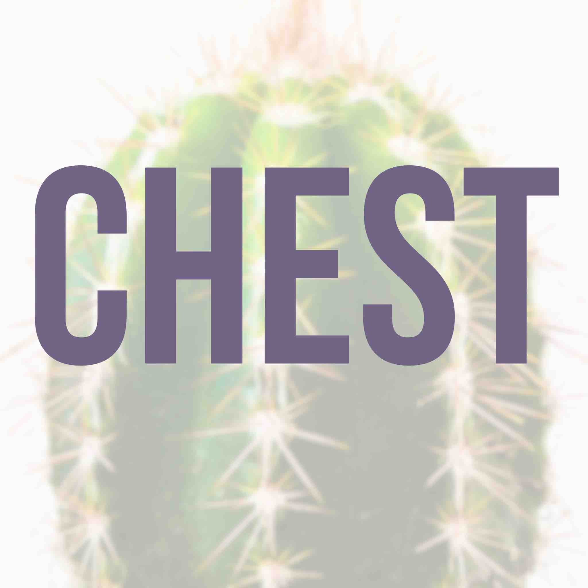 Chest