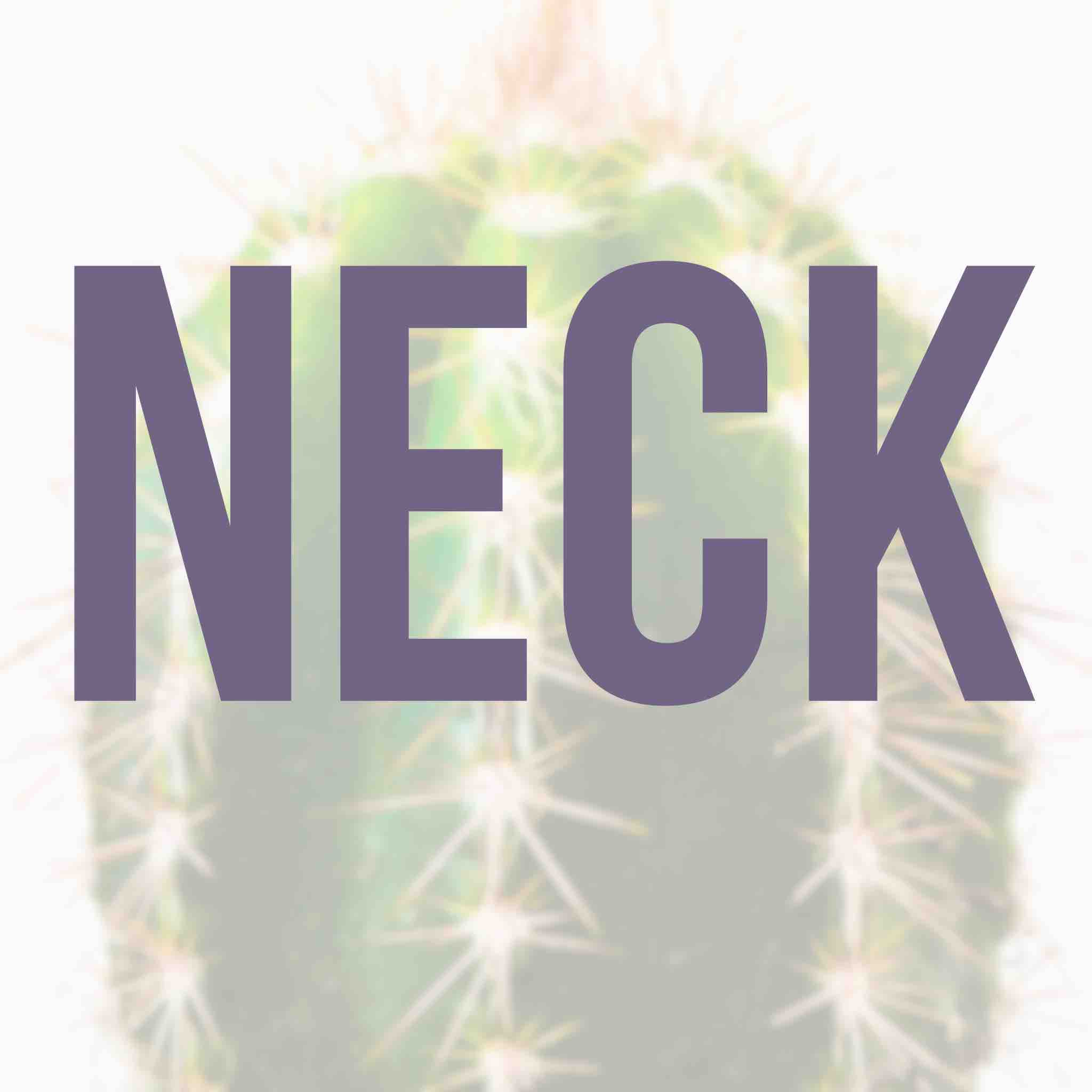 Neck