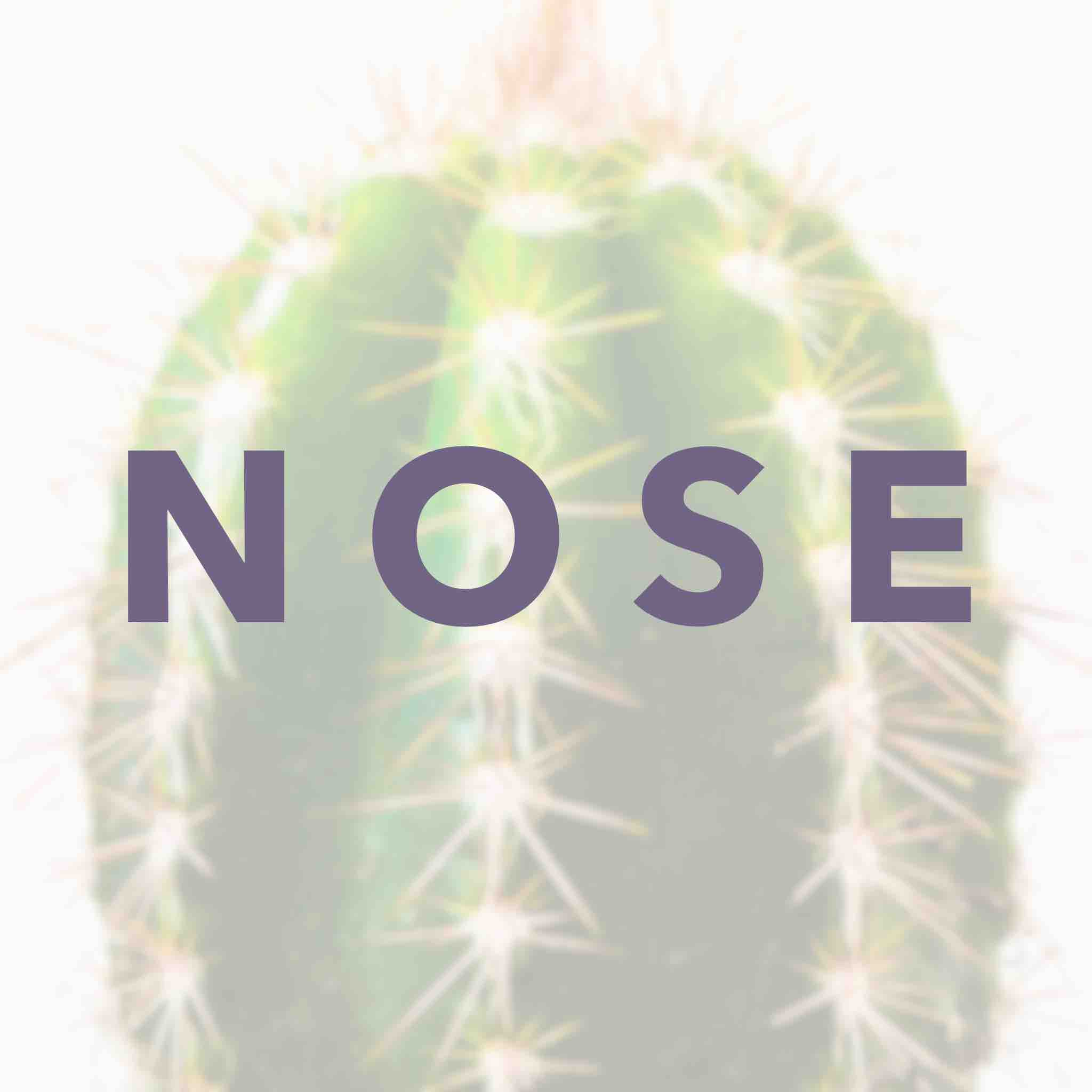 Nose