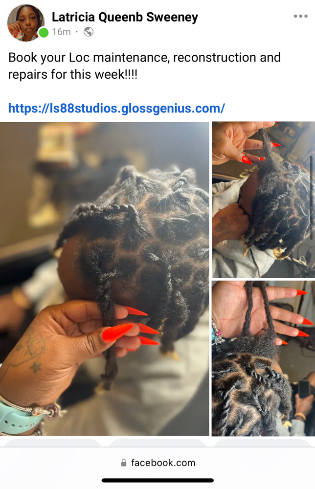 Full Head Repair/ Reconstruction