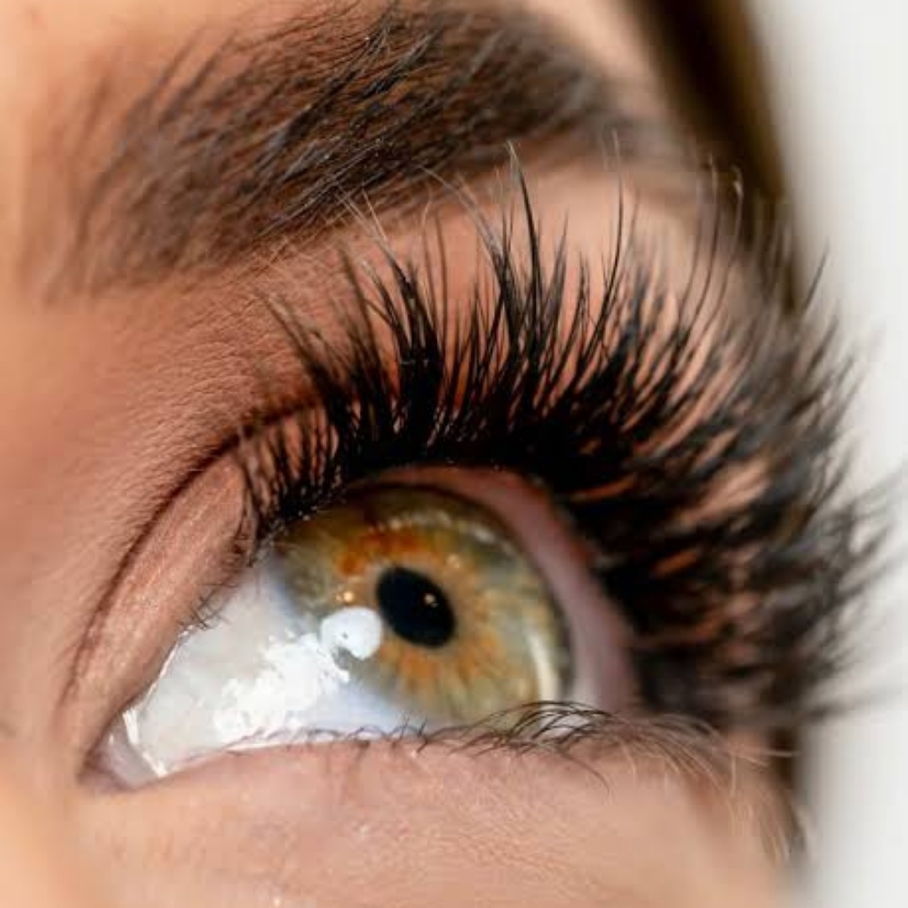Lash Application at Simply Elegant Beauty in Waite Park, MN
