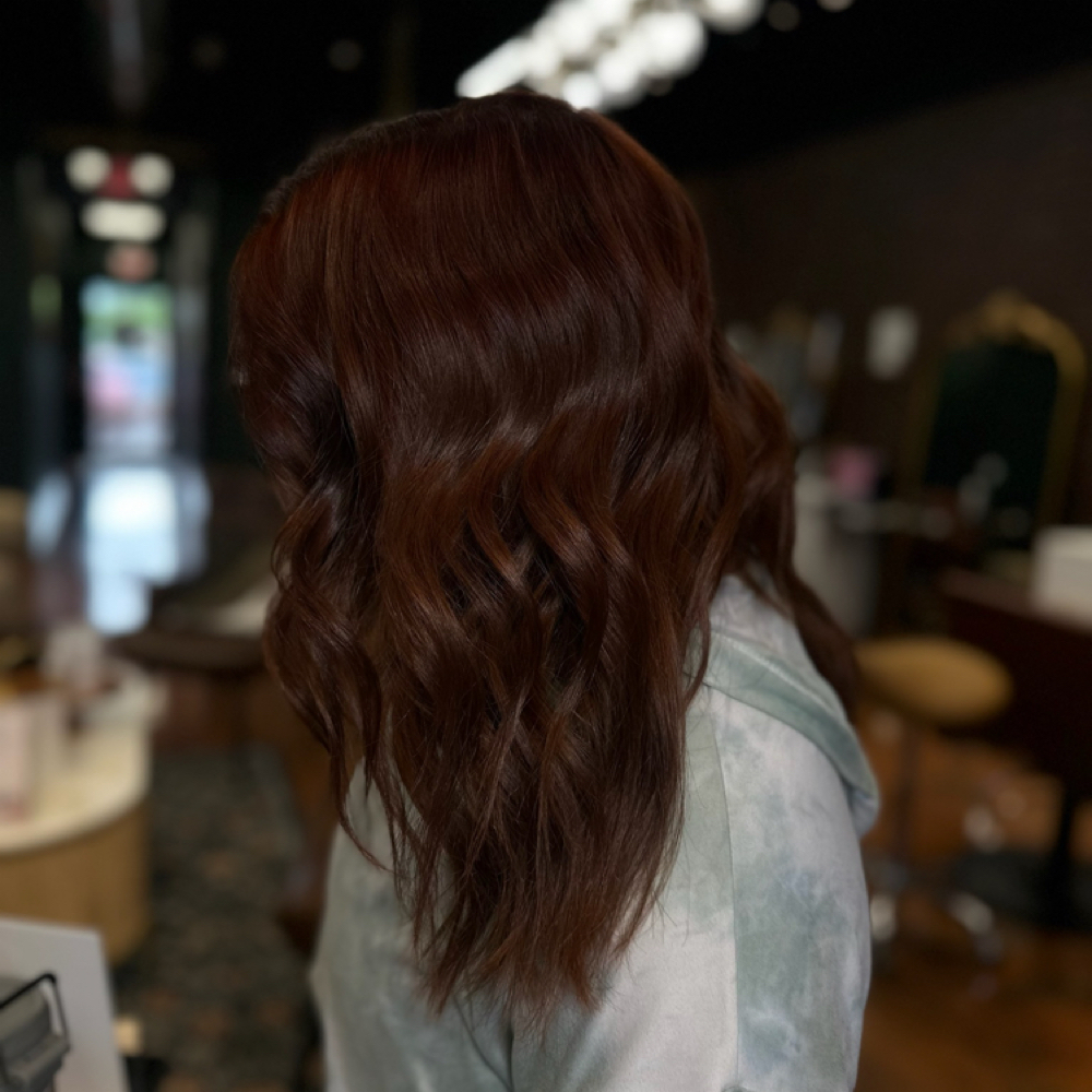 Roots Are For Trees | Root Touch-Up at The Salty Suite Salon in Lakeland, FL