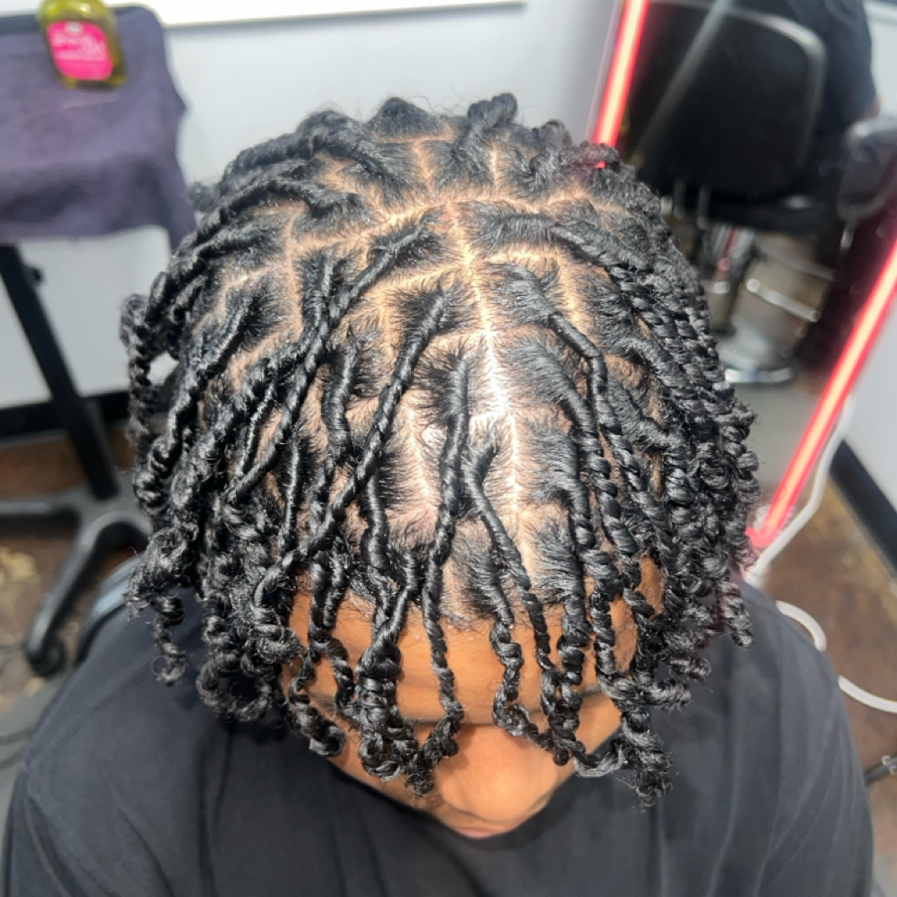 2 Strand Loc Start at LASHDAE of Roots To Royalty Studio in Phoenix, AZ