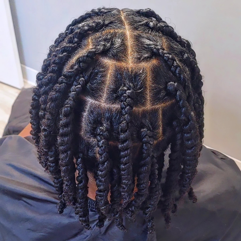Natural Hair Twist at Scrunchies & Munchies in Cordova, TN